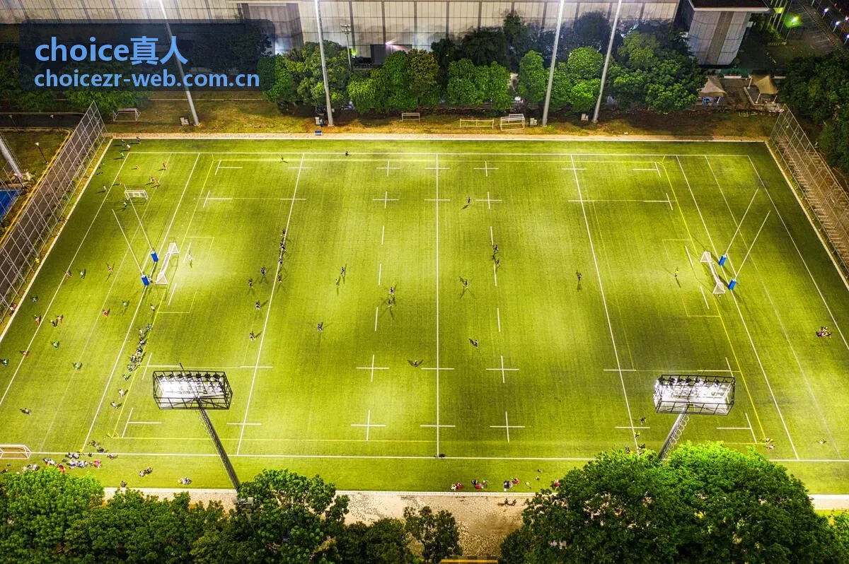 choice真人方案比较文章封面